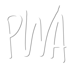 PWA Test